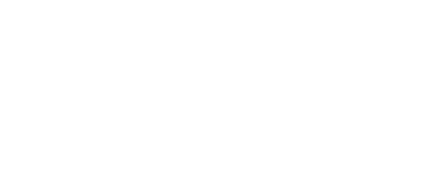 nys