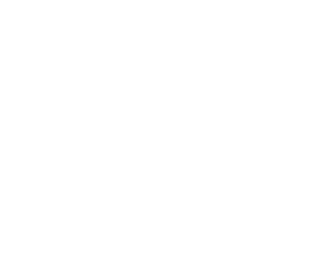 project1 logo